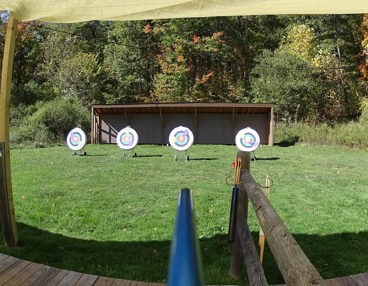 hamlet that i have shot mine arrow hamlet that i have shot mine arrow