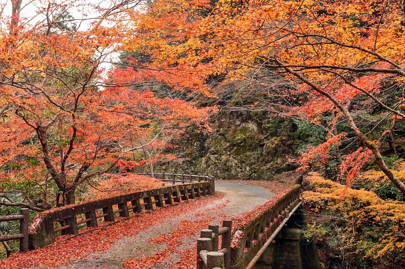 Japan Mountain Bike Tours Japan Mountain Bike Tours